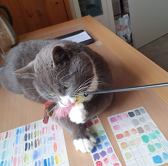 Product image 3 of 9