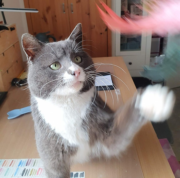 Product image 8 of 9