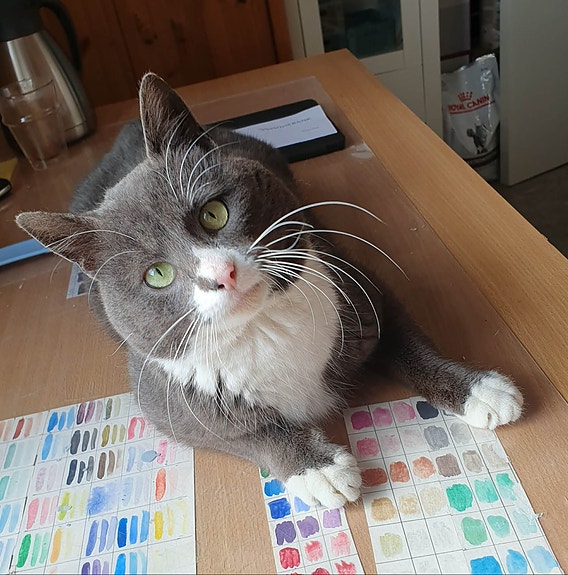 Product image 6 of 9