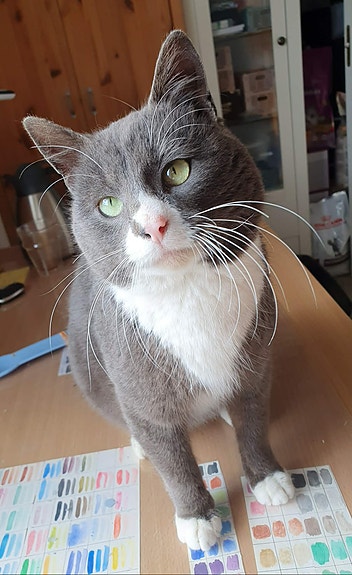 Product image 9 of 9