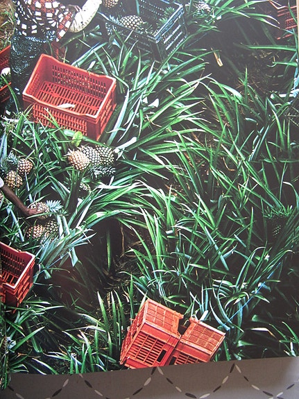 Product image 11 of 11