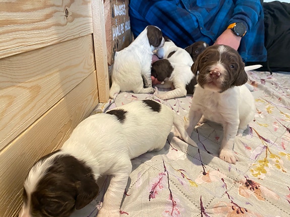 Product image 3 of 10