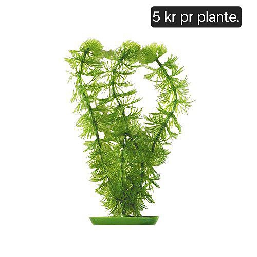 Product image 14 of 14