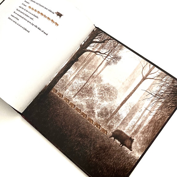 Product image 11 of 15