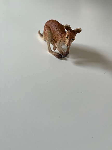 Product image 14 of 36