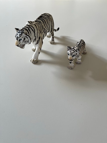 Product image 21 of 36