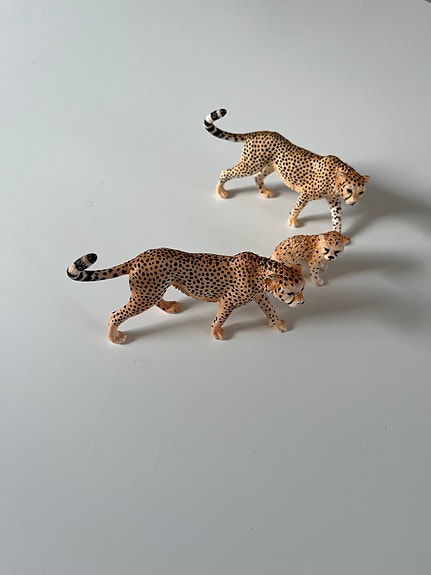 Product image 30 of 36