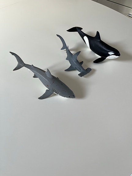 Product image 17 of 36