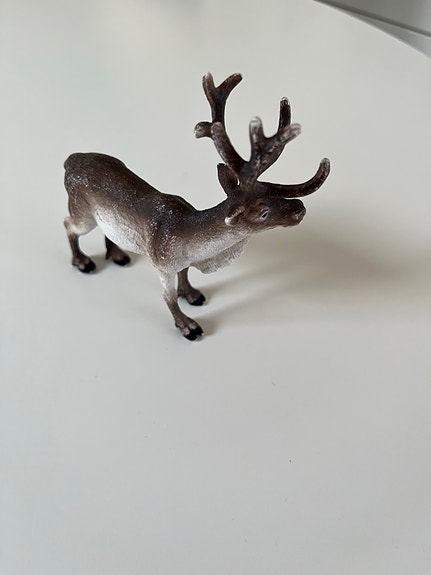 Product image 11 of 36