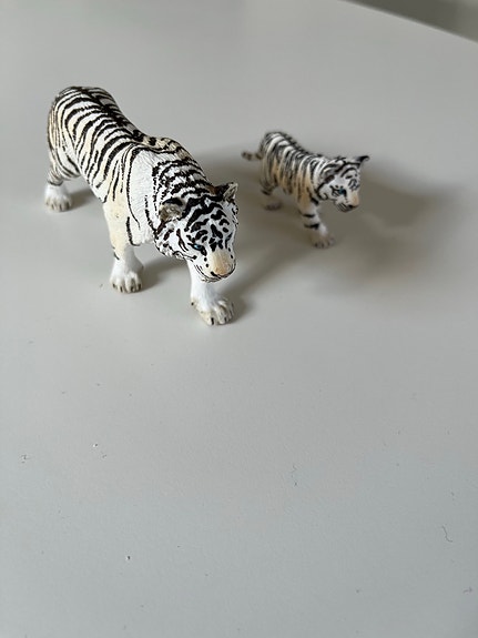 Product image 20 of 36