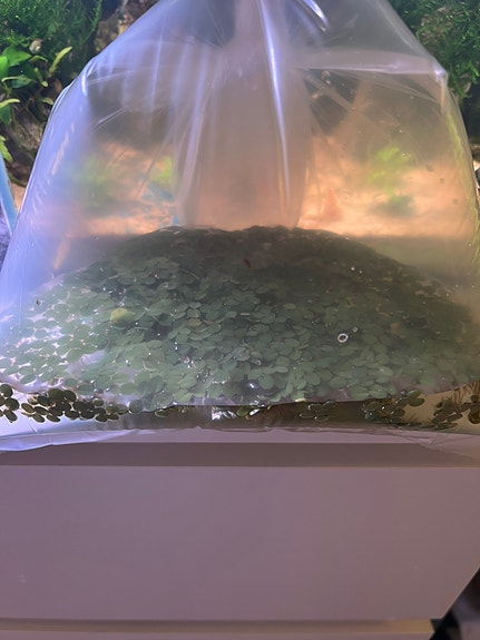 Product image 17 of 17