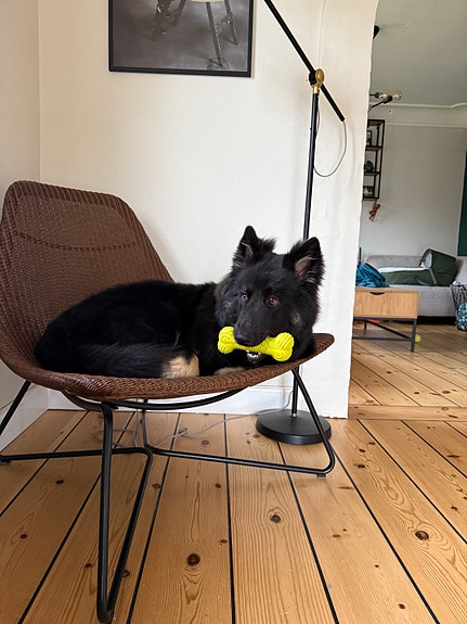 Product image 5 of 8