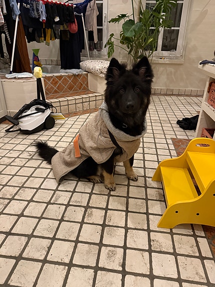 Product image 6 of 8