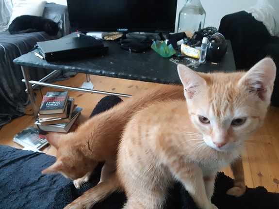 Product image 6 of 9