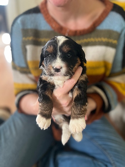 Product image 3 of 9