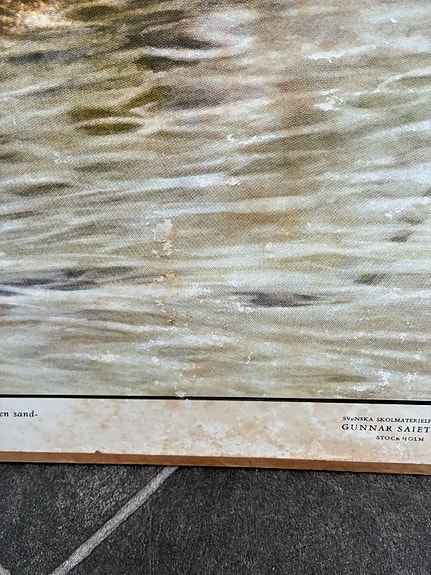 Product image 15 of 15