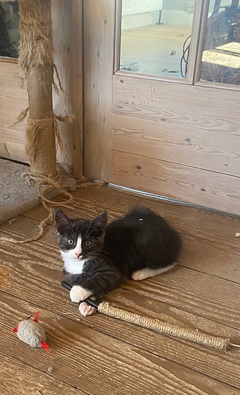 Product image 2 of 6