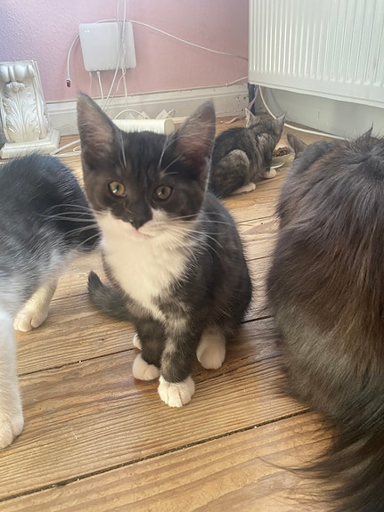 Product image 3 of 6