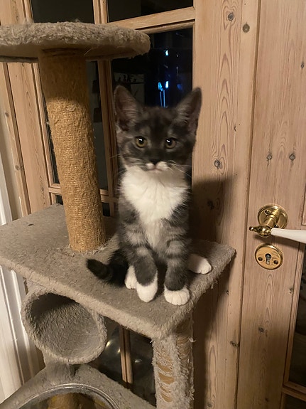 Product image 5 of 6