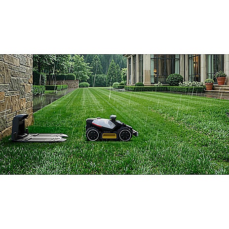 Product image 13 of 21