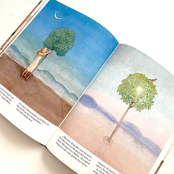 Product image 12 of 14