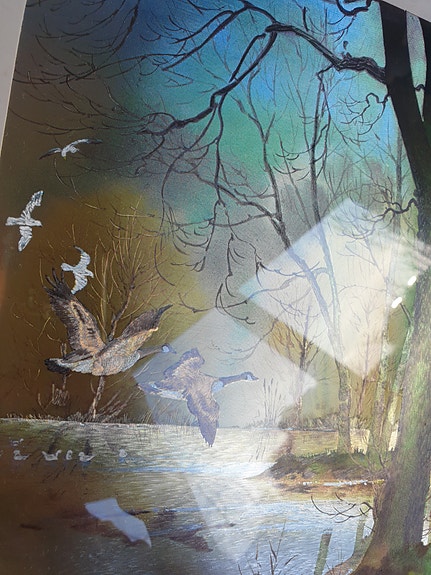 Product image 11 of 24