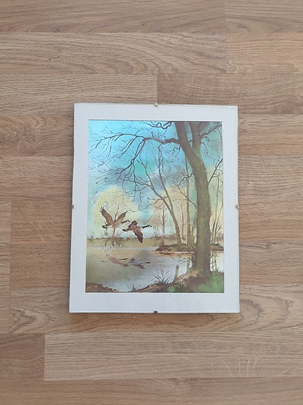Product image 20 of 24