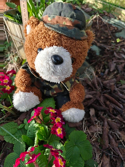 Product image 12 of 22