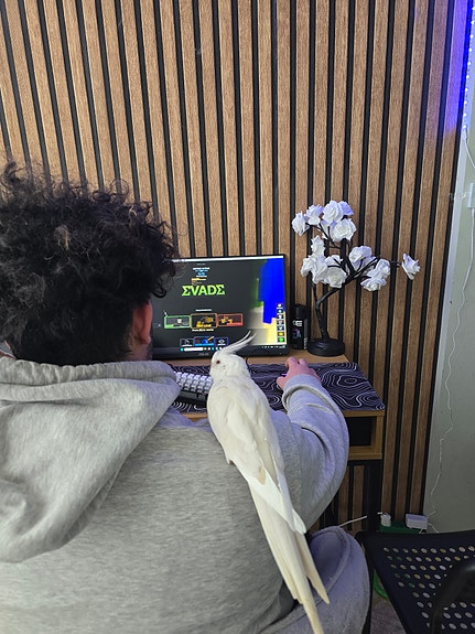 Product image 4 of 7