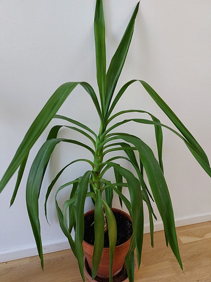 Product image 11 of 11