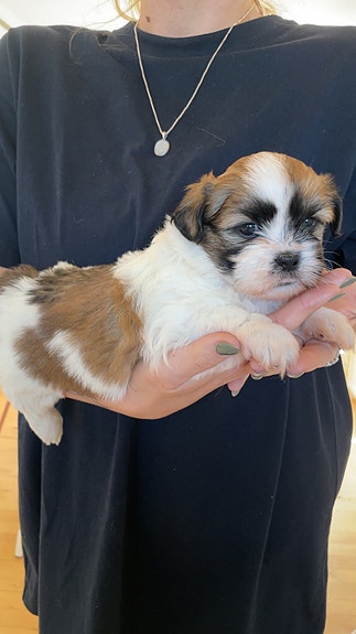 Product image 7 of 10