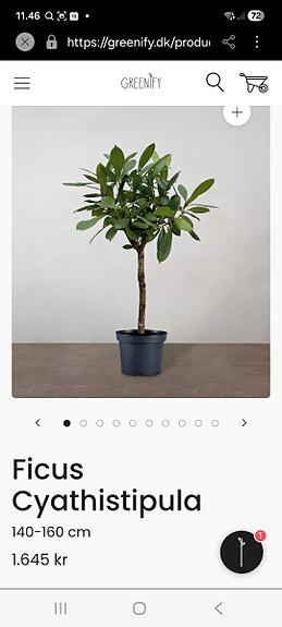 Product image 11 of 11