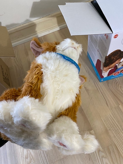 Product image 2 of 10