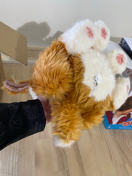 Product image 3 of 10