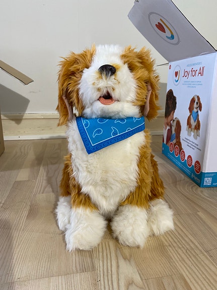 Product image 9 of 10