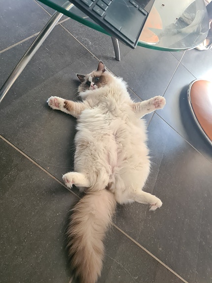 Product image 8 of 8