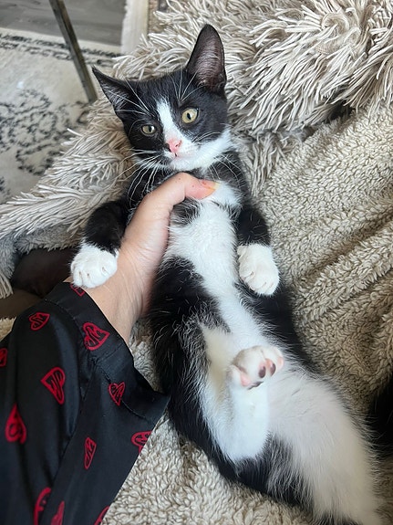 Product image 8 of 10