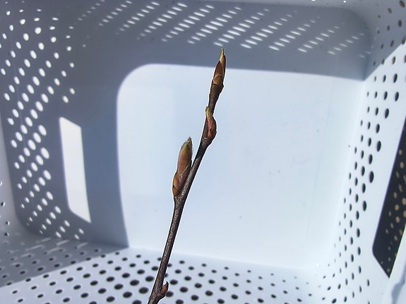 Product image 11 of 11