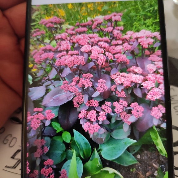 Product image 62 of 87