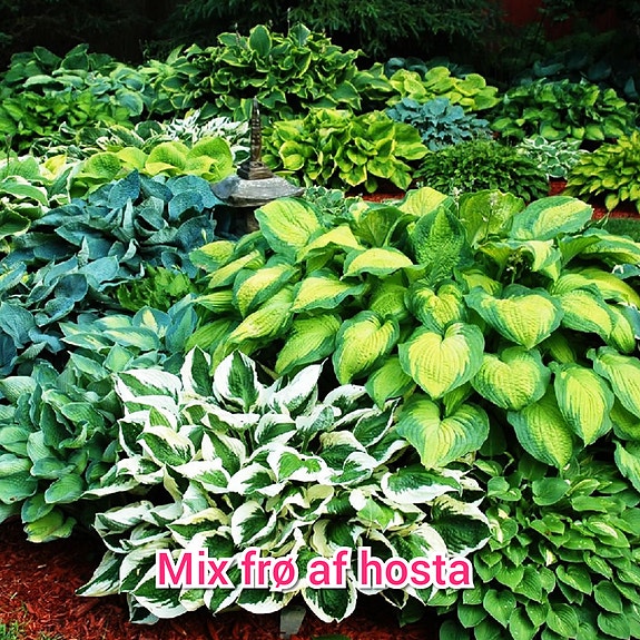 Product image 82 of 82