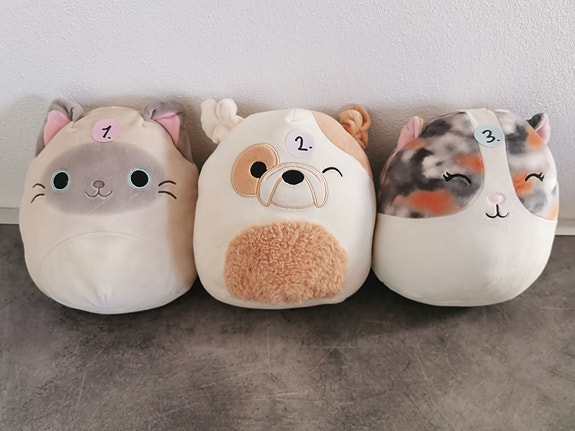 Product image 3 of 10