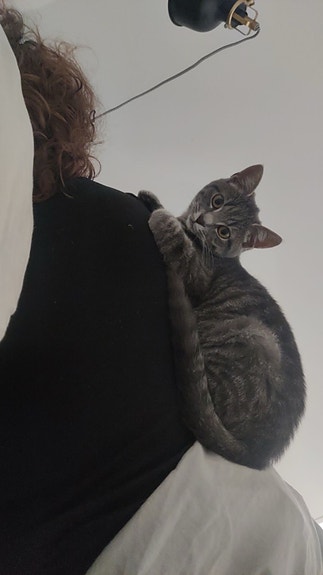 Product image 3 of 10