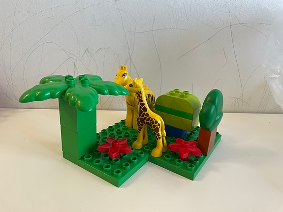 Product image 5 of 10