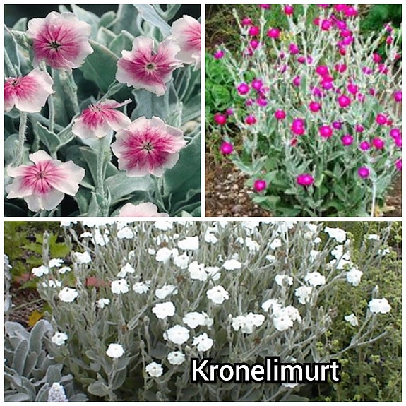 Product image 65 of 100