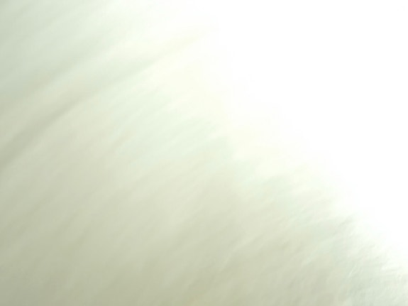 Product image 12 of 32