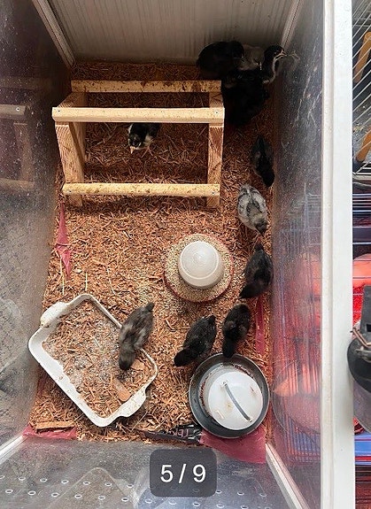 Product image 3 of 9