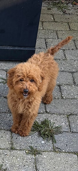 Product image 3 of 8