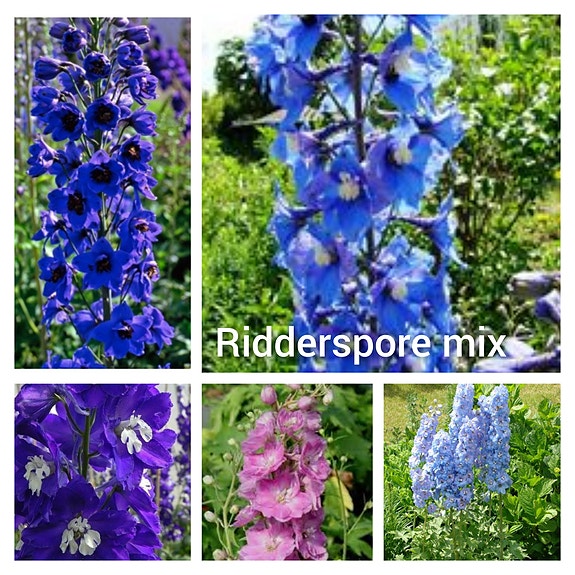 Product image 95 of 100