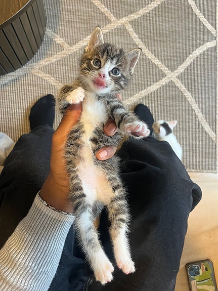 Product image 5 of 10