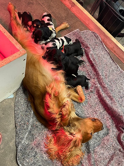 Product image 3 of 9